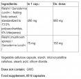 Reishi Extract / 60 Caps