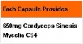 Cordyceps CS-4  90 Caps.