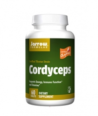 Jarrow Formulas Cordyceps / 60 Tabs.