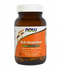 NOW Gr8 - Dophilus / 60 Vcaps.