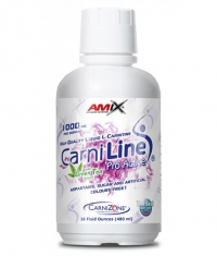 AMIX CarniLine® ProActive 480 ml.