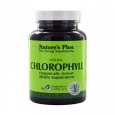 NATURE'S PLUS Chlorophyll / 60 Caps.
