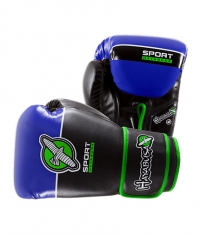 HAYABUSA FIGHTWEAR Sport 12oz Gloves / Black/Blue/Lime Green