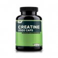 OPTIMUM NUTRITION Creatine 2500 / 100 Caps.