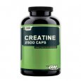 OPTIMUM NUTRITION Creatine 2500 / 300 Caps.