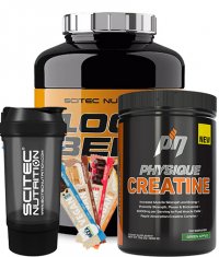 PROMO STACK SCITEC ΠΑΚΕΤΟ ΠΡΟΩΘΗΣΗΣ 13
