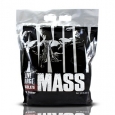 ANIMAL MASS