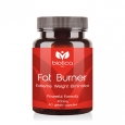 BIOTICA old Fat Burner 300mg / 60 Caps