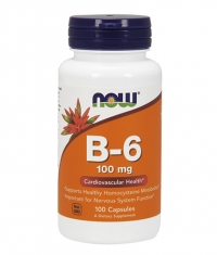 NOW Vitamin B-6 100mg / 100Vcaps.