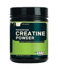 OPTIMUM NUTRITION Micronized Creatine Powder