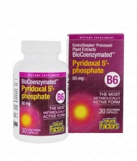 NATURAL FACTORS Vitamin B6 (Pyridoxal 5-Phosphate) 50mg. / 30 Vcaps