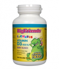 NATURAL FACTORS Bigfriends Vitamin D3 400iu / 240 Chew