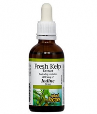 NATURAL FACTORS Fresh Kelp / 50ml