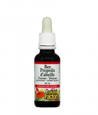 NATURAL FACTORS Bee Propolis / 30ml