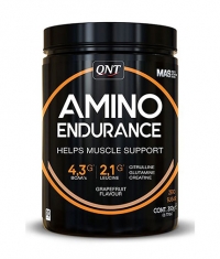 QNT Amino Endurance