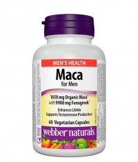 WEBBER NATURALS Maca for Men / 60 Vcaps