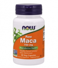 NOW Raw Maca 750mg (6:1 CONC) / 30 Vcaps