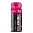 OSTROVIT PHARMA L-Carnitine Shot Box / 24x80ml