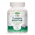 NATURES WAY Kids Tummy Soothe / 60 Chews