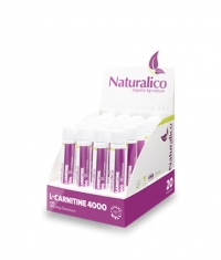 NATURALICO L-carnitine 4000 / 20x25ml