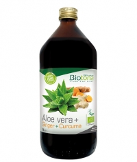 BIOTONA Aloe Vera + Ginger + Curcuma / 1l