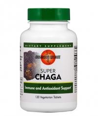 MUSHROOM WISDOM Super Chaga / 120 Tabs