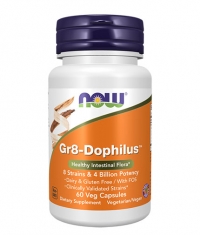 NOW Gr8 - Dophilus / 60 Vcaps.