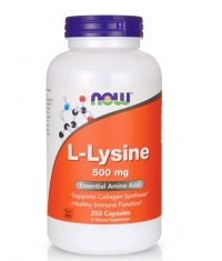 NOW L-Lysine 500 mg / 250 Caps