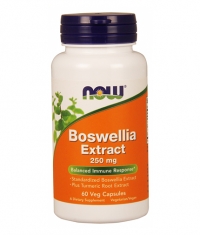 NOW Boswellia Extract 60 VCaps.
