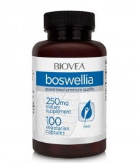 BIOVE_OLD_A Boswellia 250 mg / 100 Caps