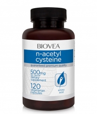 BIOVE_OLD_A N-Acetyl Cysteine 500 mg / 120 Caps