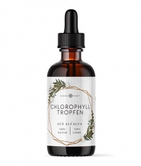 BARBEL DREXEL Alfalfa Chlorophyll / 100 ml