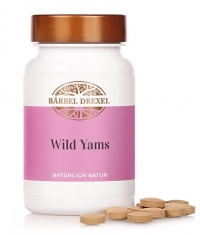 BARBEL DREXEL Wild Yam / 160 Tabs