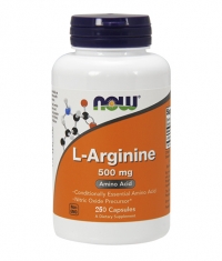 NOW L-Arginine 500mg. / 250 Caps.