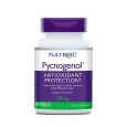 NATROL Pycnogenol 50 mg / 60 Caps