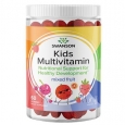 SWANSON Children's Multivitamin Gummy - Mixed Fruit / 60 Gummies