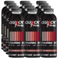 QUICK FUEL Recovery Boost / 12 x 500 ml