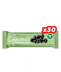 GAM'S Vegan Protein Bar / 30 x 40 g