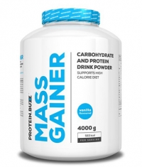 PROTEIN.BUZZ Mass Gainer