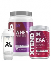 PROMO STACK Halloween BF Stack 16