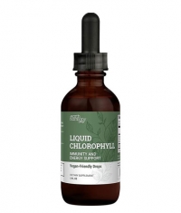 EARTH HARMONY Liquid Chlorophyll / 59.2 ml