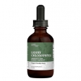 EARTH HARMONY Liquid Chlorophyll / 59.2 ml