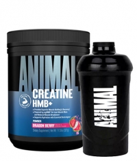 PROMO STACK Liquidation Stack 4