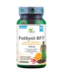 GREWIA FatSynil BF7 1000 mg / 60 Caps
