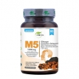 GREWIA M5 Chaga / 60 Caps