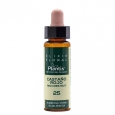 ARTESANIA AGRICOLA Red Horse Chestnut Flower Elixir Floral 25 / 10 ml