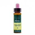 ARTESANIA AGRICOLA Cerasifera (Cherry Plum) Elixir Floral 6 / 10 ml