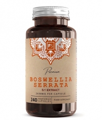 FOCUS SUPPLEMENTS Boswellia / 240 Caps