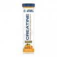 APPLIED NUTRITION Creatine Monohydrate / 16 Effervescent Tabs