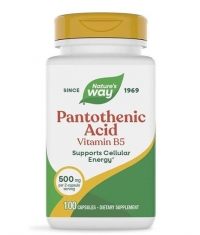 NATURES WAY Pantothenic Acid  / 100 Caps